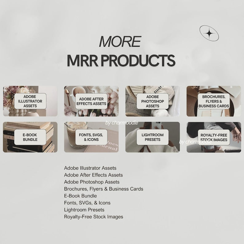 10M+ Digital Products Bundle | MRR & PLR Rights