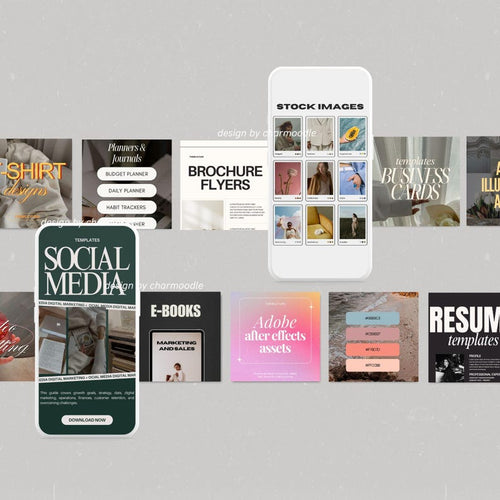 10M+ Digital Products Bundle | MRR & PLR Rights